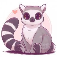 lemur